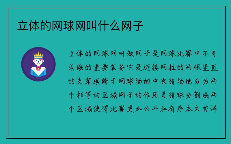 立体的网球网叫什么网子