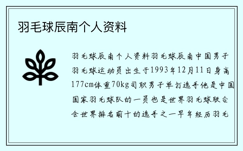 羽毛球辰南个人资料